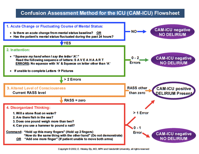 Image result for CAM ICU